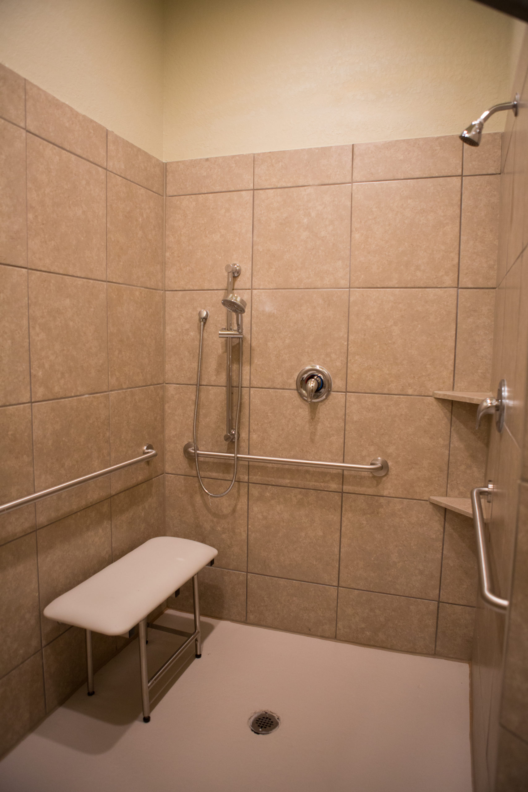 accessible shower (1)